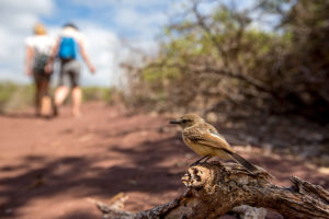 Read more about the article Galapagos Multi-Activity Adventure
