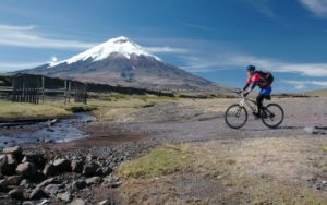 Read more about the article Mountain Biking