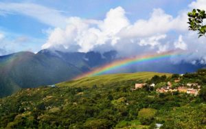 Read more about the article Yungas-Coroido